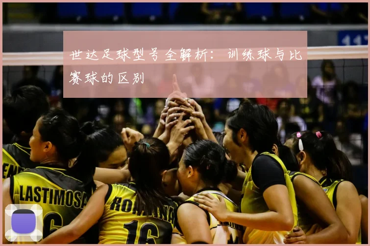 世达足球型号全解析：训练球与比赛球的区别
