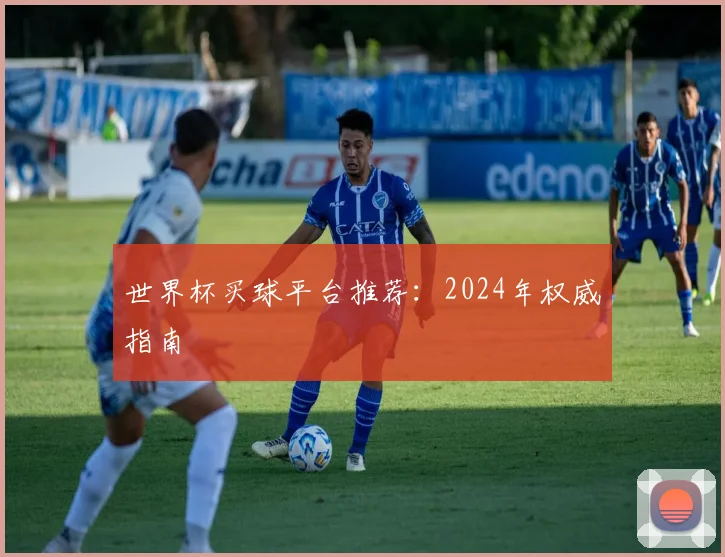 世界杯买球平台推荐：2024年权威指南